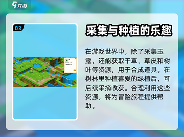 皮卡堂玩家必看！快速获取森林雨露🔥截图4