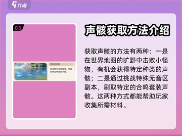 鸣潮⚡调谐声骸获取攻略，快速入手秘籍！截图4