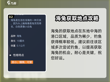 黎明之海白海兔获取攻略💥超简单方法分享！🐇截图3