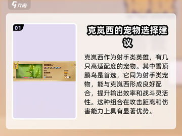 万龙觉醒🔥克岚西宠物最强选择攻略来啦！截图2