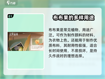 无限暖暖布布果💎攻略：快速升级秘籍💥截图2