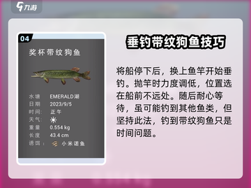 钓鱼星球带纹狗鱼钓法💡必看！轻松上手⚡截图5