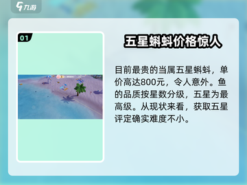 心动小镇🔥鱼价大揭秘！最贵的是它🐟截图2