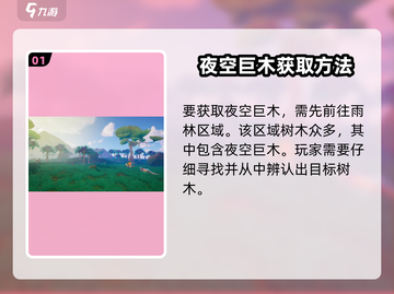 创造吧我们的星球 NIGHT空巨木获取攻略💎截图2