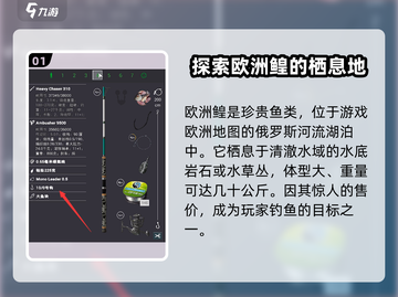 钓鱼星球🔥欧洲鳇出鱼秘籍，轻松上手钓大鱼！🐟截图2