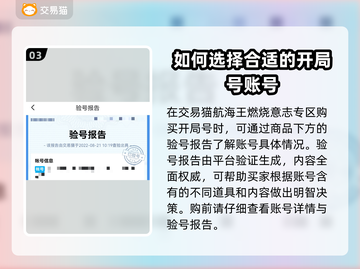航海王燃烧意志开局号购买平台推荐🔥截图4