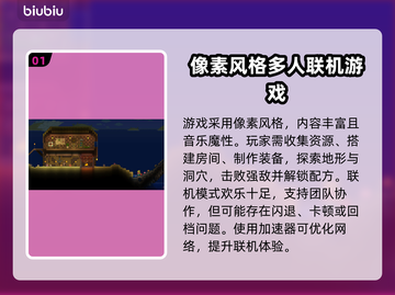 泰拉瑞亚闪退？联机加速神器来了！🔥🚀截图2