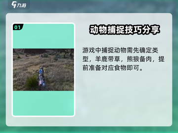 七日世界🔥捕捉动物超全方法大公开！🎮截图2