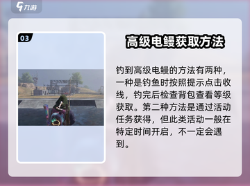 七日世界🔥高级电鳗获取方法大公开！💥截图4