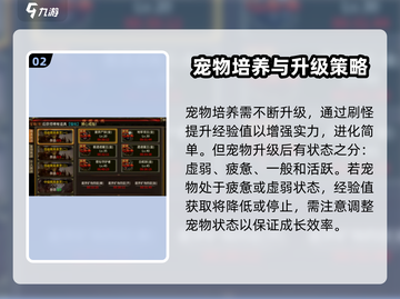 五霸七雄🔥宠物进化攻略✨宠物获取与升级详解来啦！截图3