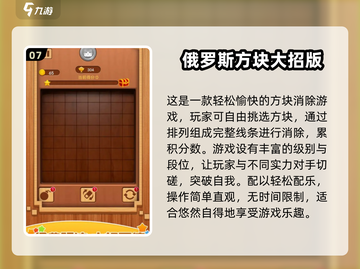 🔥2025最潮俄罗斯方块游戏合集👇单机党必玩截图8