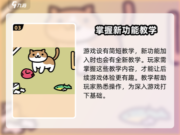 《猫咪后院2》上线时间🔥铲屎官必看🎮截图4