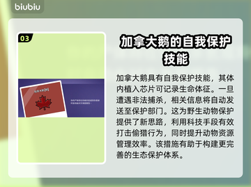 鹅鸭杀🎉所有角色大揭秘，玩转游戏必看！截图4
