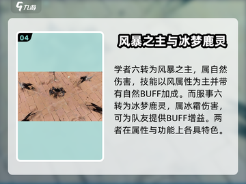 出发吧麦芬🔥六转职业全揭秘💎截图5