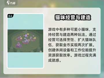 猫咪和汤用联网吗？🎮揭示真相！💥截图3