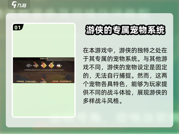 塔瑞斯世界💥宠物全攻略，萌宠伴你征战✨截图2