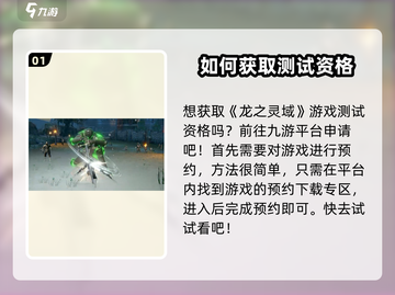 《龙之灵域》测试资格🔥抢夺秘籍🎉截图2