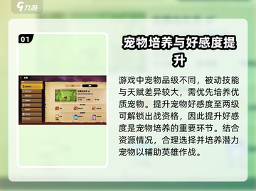 万龙觉醒🔥宠物好感度培养秘籍✨截图2