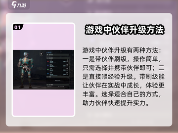 代号56🔥伙伴升级秘籍！快速提升战力💡截图2