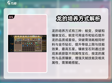 龙之契约🔥新手必看！手游玩法大揭秘🎉截图6