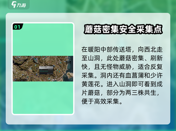 《七日世界》🔥蘑菇采集终极指南📍截图2