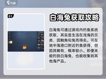 黎明之海💥白海兔获取攻略🐰船长必看！截图2