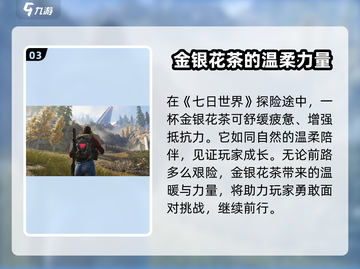 七日世界🔥金银花位置大揭秘！📌快来看👇截图4