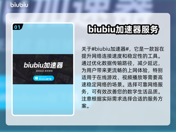 国际服游戏加速器推荐，玩和平精英不卡顿⚡截图2