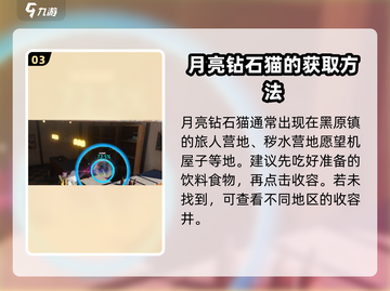七日世界🔥月亮钻石猫收容物超强攻略💎截图4