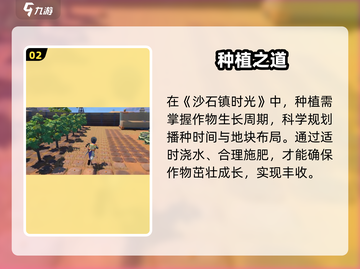 《沙石镇时光》种植暴富秘籍🌱截图3