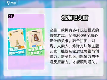 🧠2024最烧脑游戏Top5！玩到停不下来🔥截图4