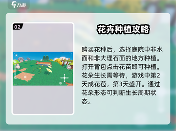 泡泡先锋种花技巧大公开！🌸游戏高手必看✨截图3