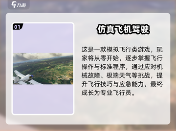✈2025中国飞机模拟器游戏TOP榜🔥截图2