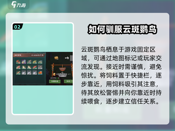 创造与魔法🔥最容易抓的飞行坐骑获取途径大揭秘！截图3