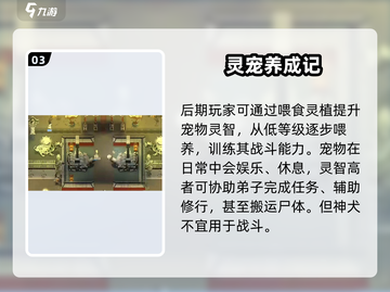 《了不起的修仙模拟器》神犬养成秘籍！🐶✨截图4