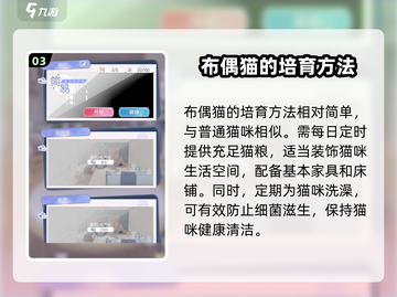 超喵星计划：轻松获取布偶猫💎，新手必看！截图4