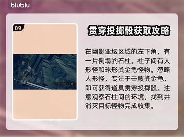 艾尔登法环🔥黄金树之影战灰全收集攻略！截图10