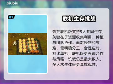 饥荒联机卡顿？这些技巧让你流畅游戏🔥🎮截图2
