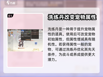 天龙八部2手游洗练丹获取途径大揭秘🔥截图2