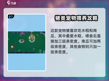 元气骑士前传：宠物喂食大揭秘！💥宠物最爱吃什么？截图8