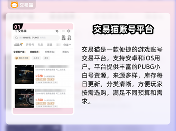  PUBG小白号哪里买？速看平台推荐🔥🎮截图2