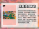 泡泡先锋🔥新手必看！极速上手攻略💎截图2