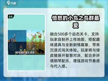 🔥2024最火小鸟游戏TOP榜！🎮截图5