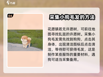 无限暖暖狗狗在哪？游戏🔥秘籍大公开！截图5