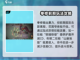 鬼谷八荒🔥拳修超详细攻略手游玩家必看！截图2