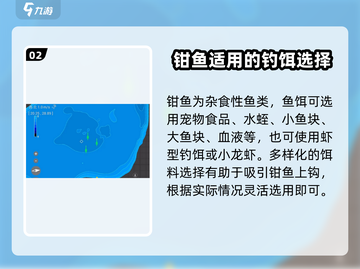 钓鱼星球❗钳鱼钓法饵料大揭秘🎉截图3