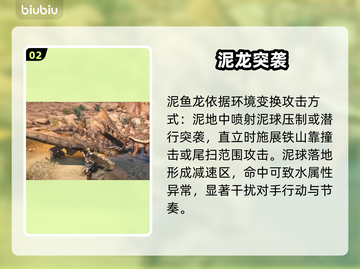 🔥怪物猎人：龙类全解析🐉截图3