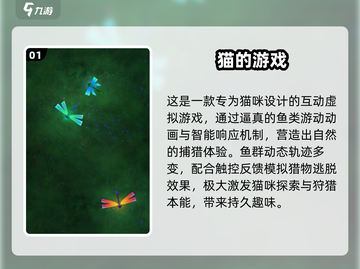 🔥2025最火猫咪玩具游戏合集🐾截图2