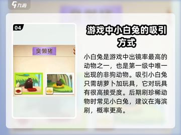 我的汉克狗🔥海岛动物图鉴全收录🎮截图5