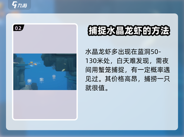 潜水员戴夫💡龙虾抓取全攻略🎉截图3